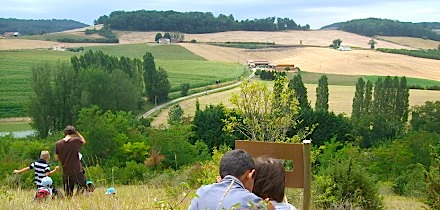 image5
